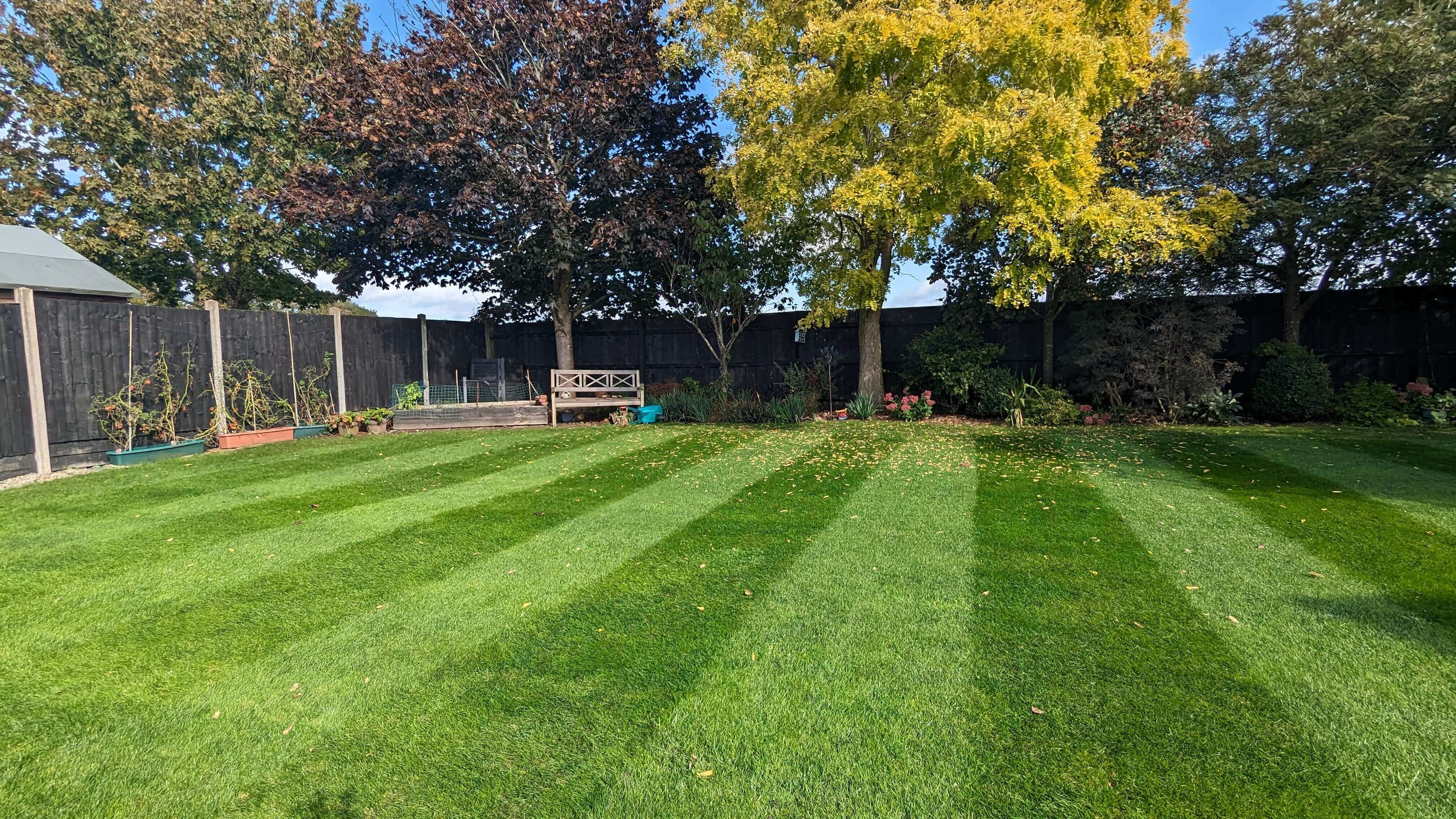 Thick lawn stripes in garden