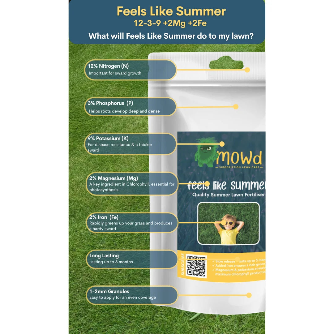 Feels like Summer Lawn Fertiliser 12-3-9 +2Mg +2Fe