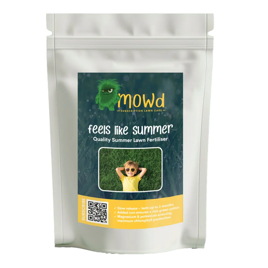 Feels like Summer Lawn Fertiliser 12-3-9 +2Mg +2Fe