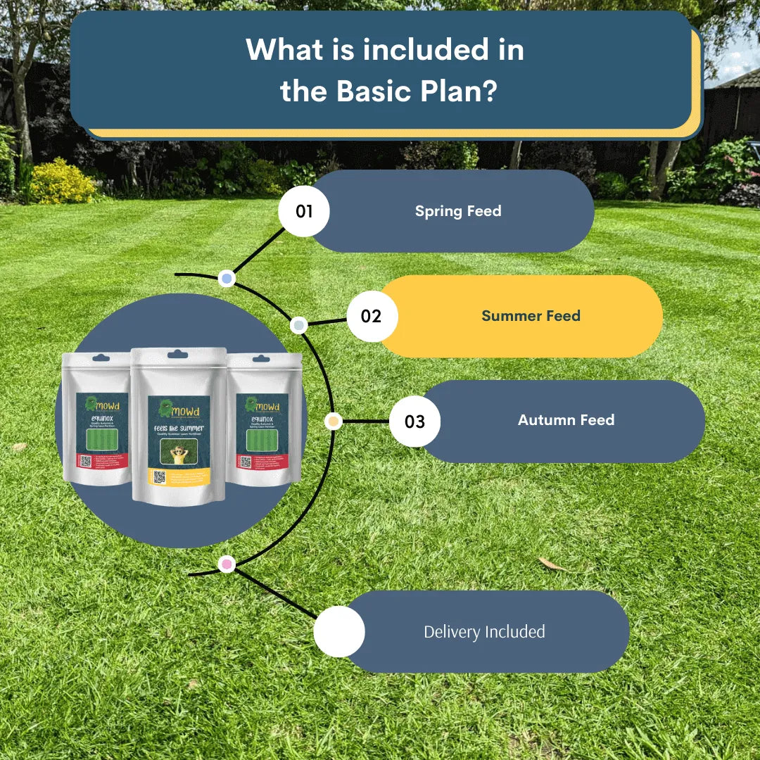 Infographic showing the benefits of the Basic Lawn Care Plan