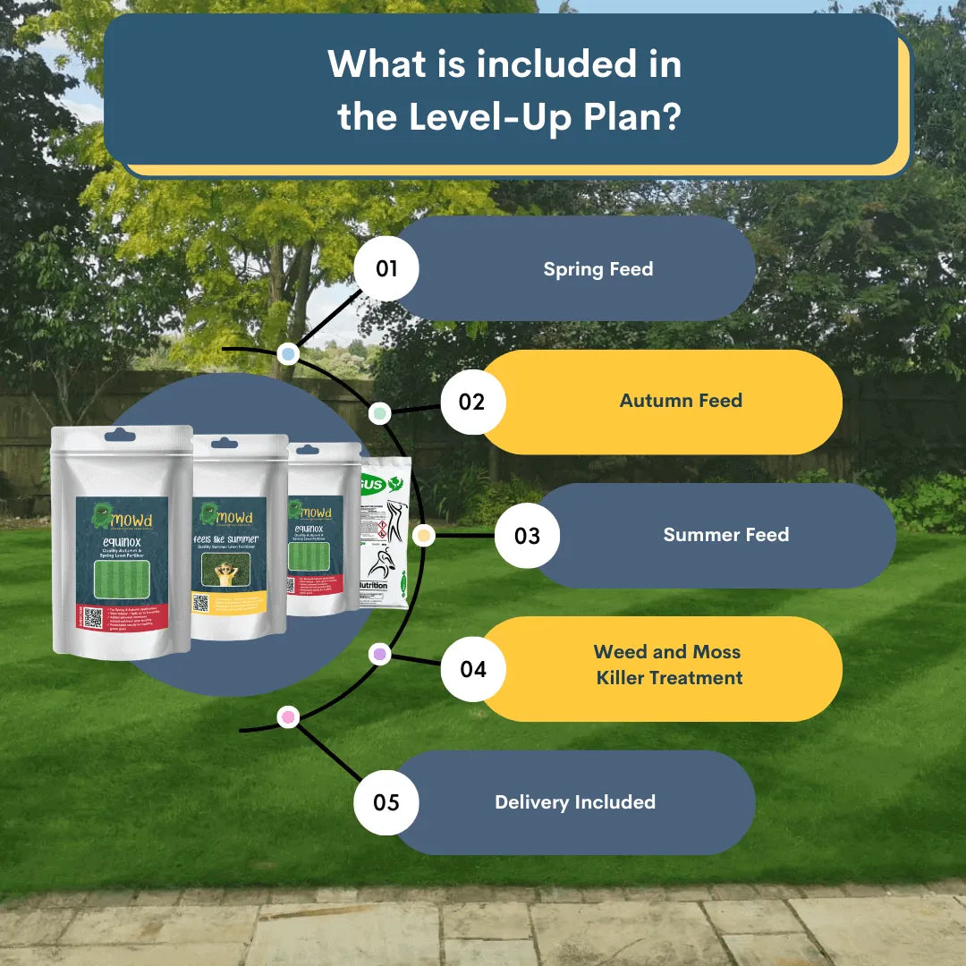 Level-Up Lawn Care Subscription v2